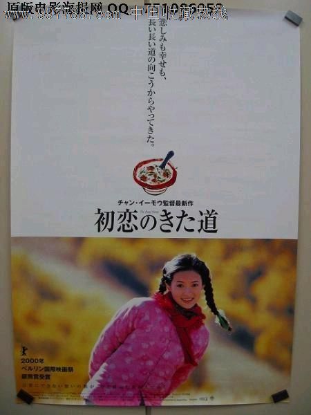 成人学位证查询时编号前面加C吗